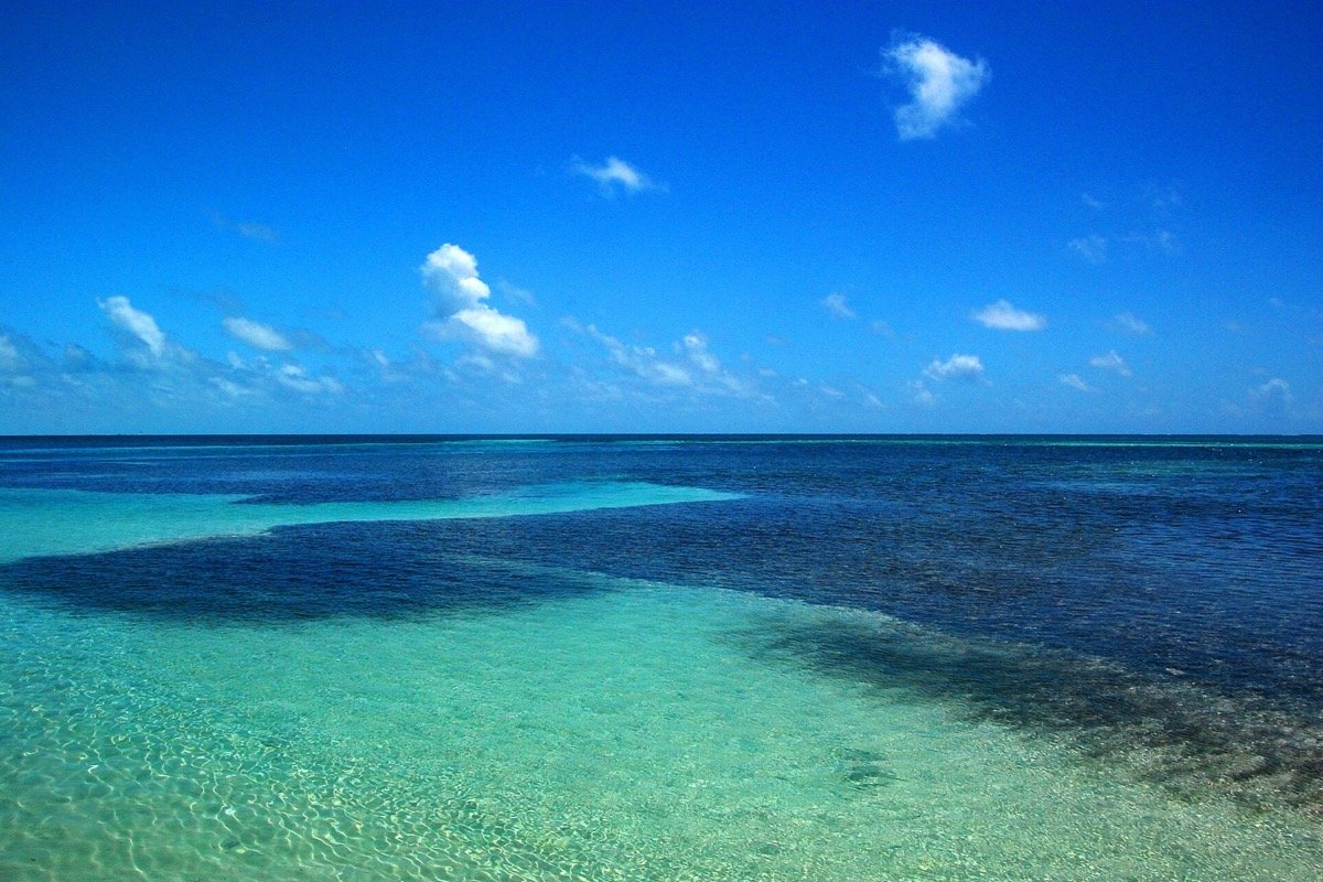 Aguas turquesas junto a Caye Caulker