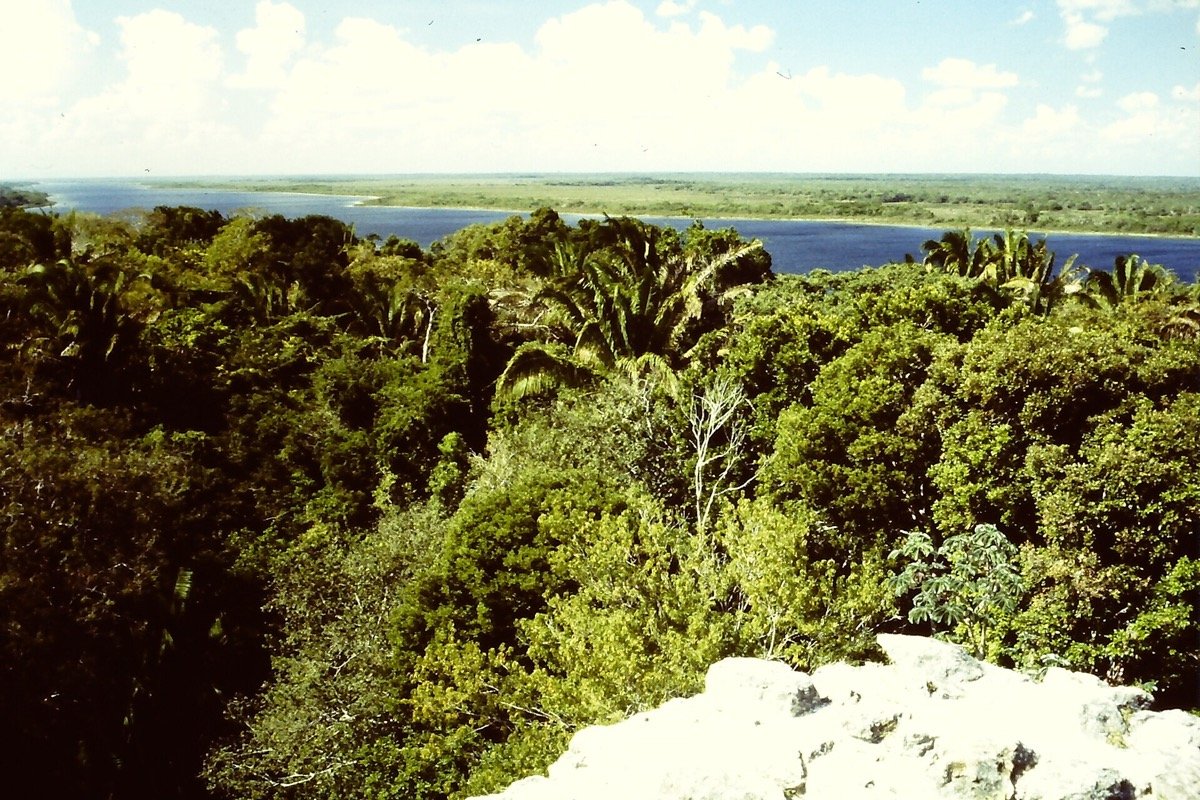 New River entre vegetación tropical en el norte de Belice