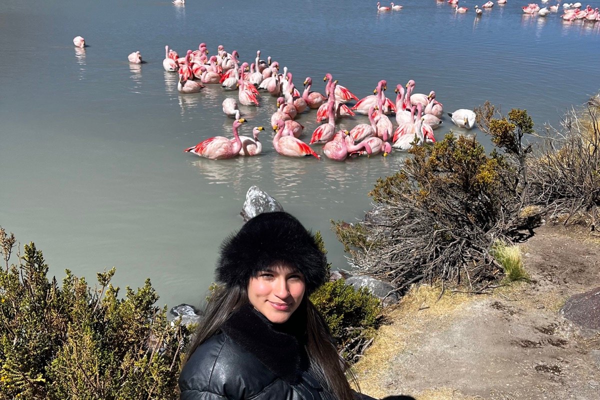 Dana junto a una laguna del altiplano con flamencos