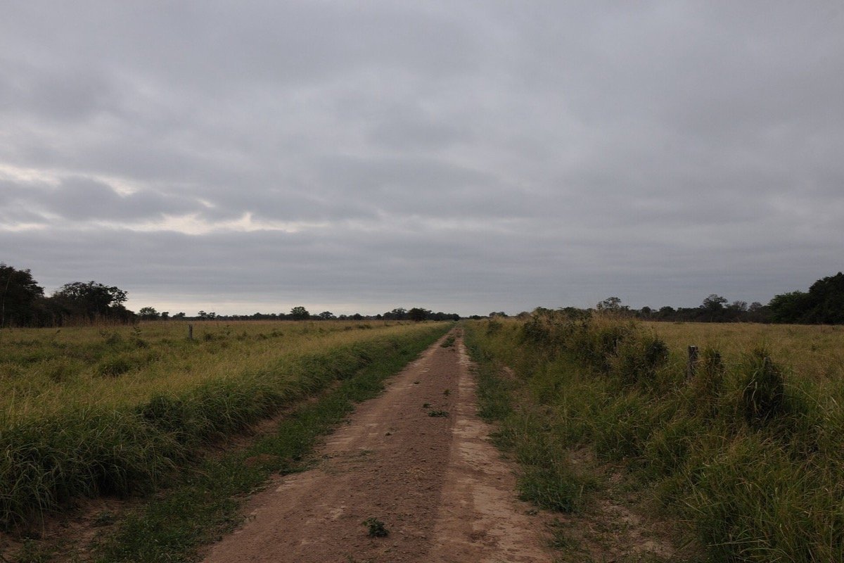 Camino rural cerca de Filadelfia
