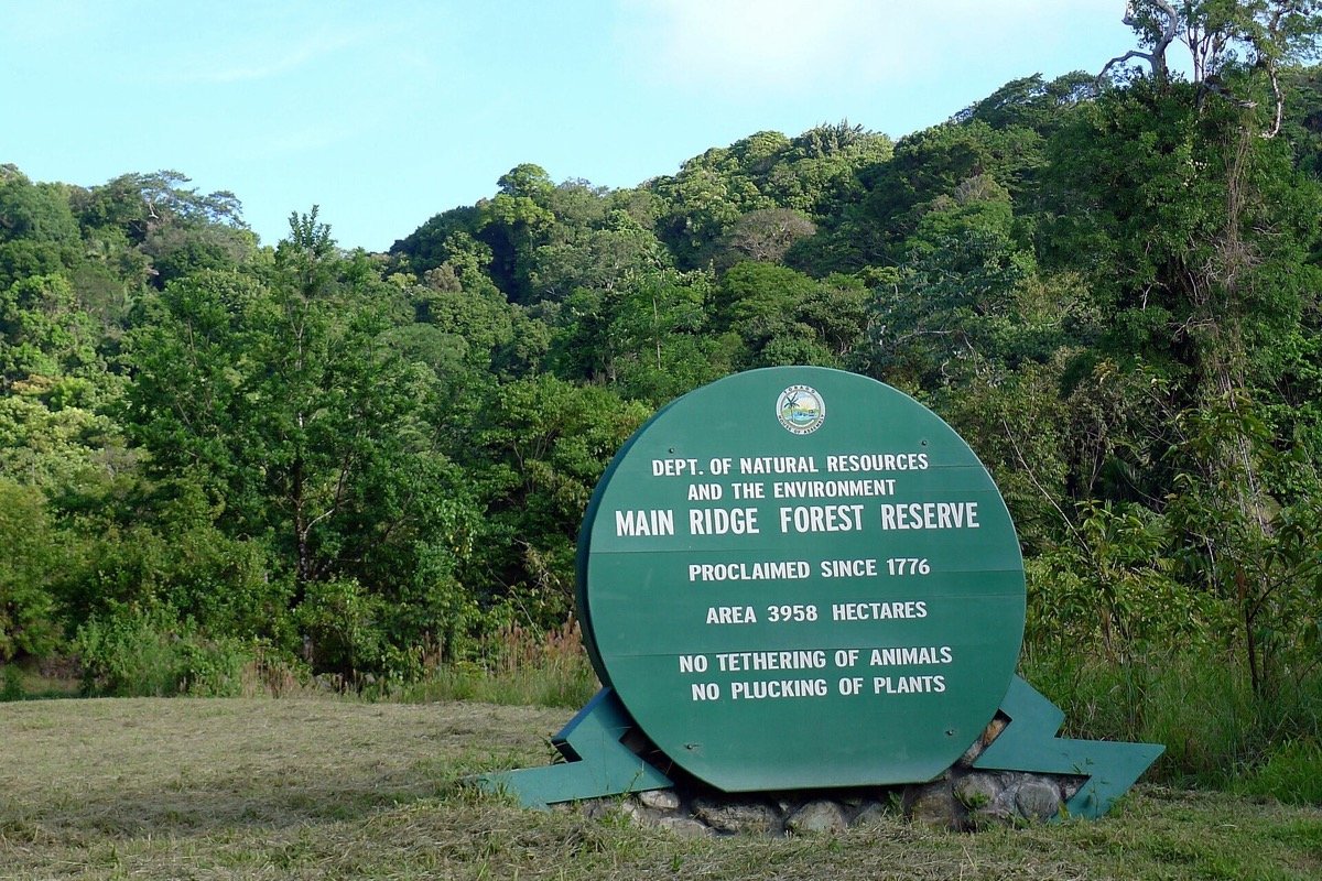 Cartel de la Reserva Forestal Main Ridge